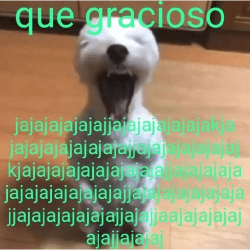  bueno 11