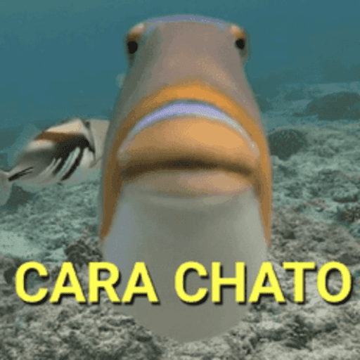 RESPOSTA NECESSÁRIA 🤣 3