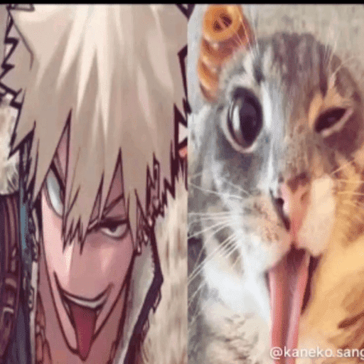 Katsuki bakugo ! 💥 13