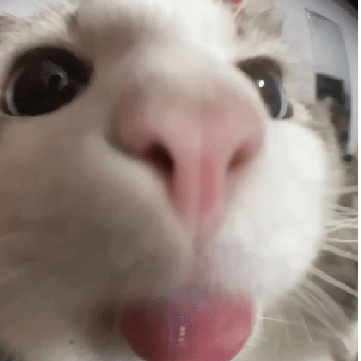 Lol 2