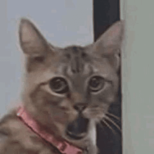 Meme tiktok 6