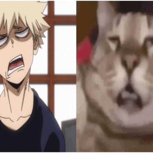 Katsuki bakugo ! 💥 9