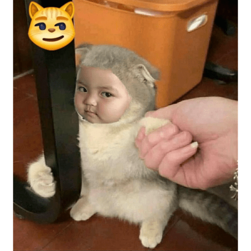 Rohee cute  3