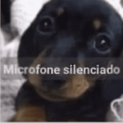 Animais julgando 22