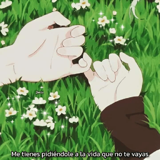 Amorcito 1 1