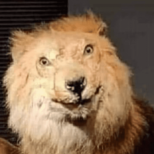 Kakakakakak 7