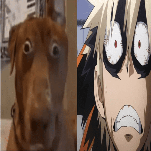 Katsuki bakugo ! 💥 8