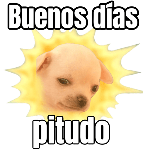 Buenas buenas  1