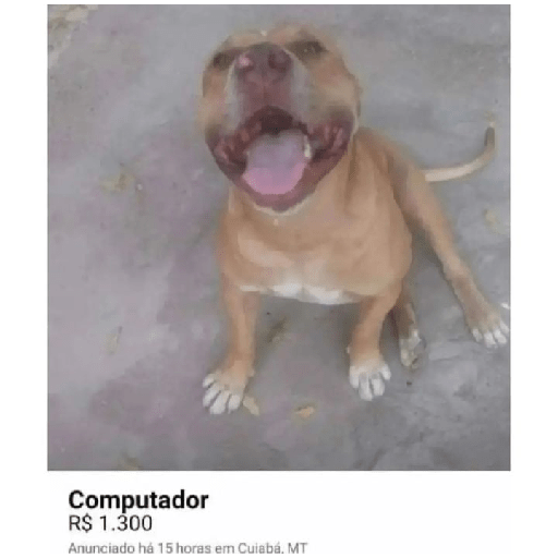 Memes 7 8