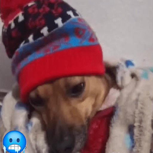 Frio e preguiça 15