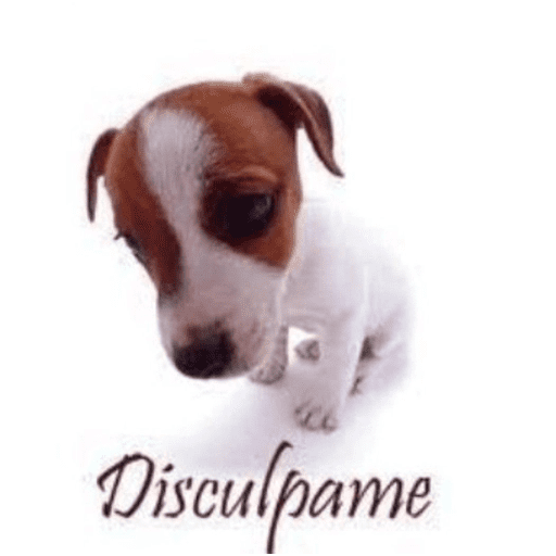 Animais julgando 14