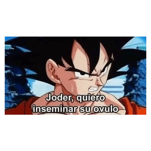 Y qué? 20