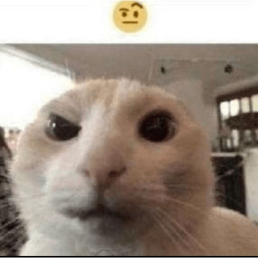 Random shitpost 8 29