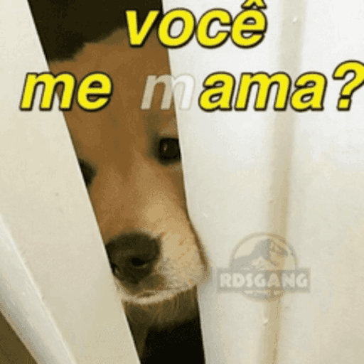 RESPOSTA NECESSÁRIA 🤣 10