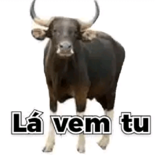 RESPOSTAS RÁPIDAS  14