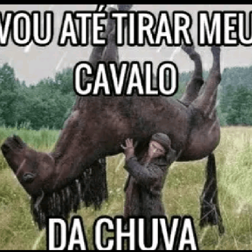 RESPOSTAS RÁPIDAS  2