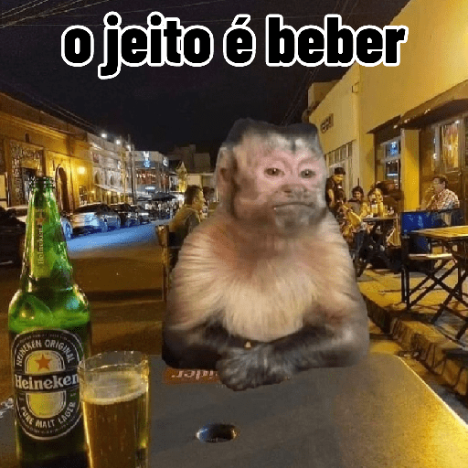 Macaquinhos falantes 8