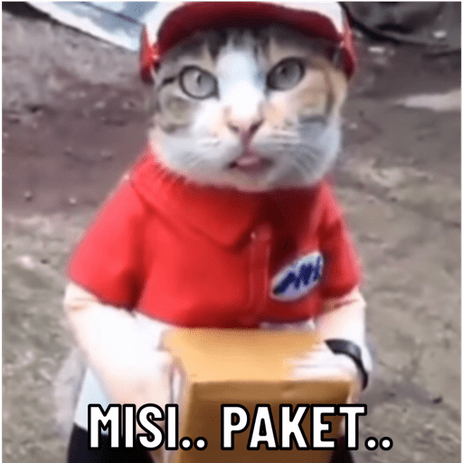 Kucing 1 2