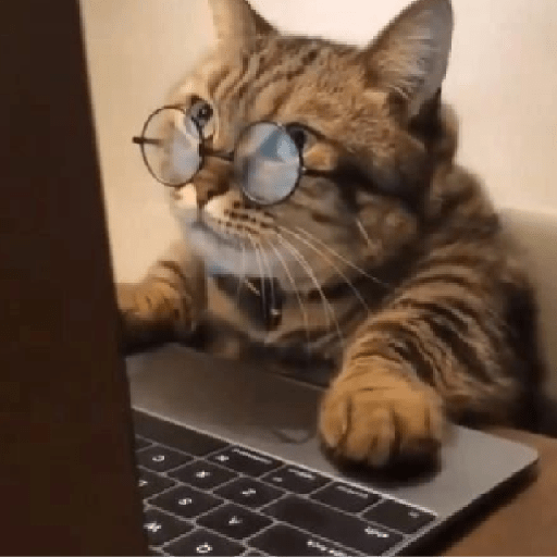 Animais 8