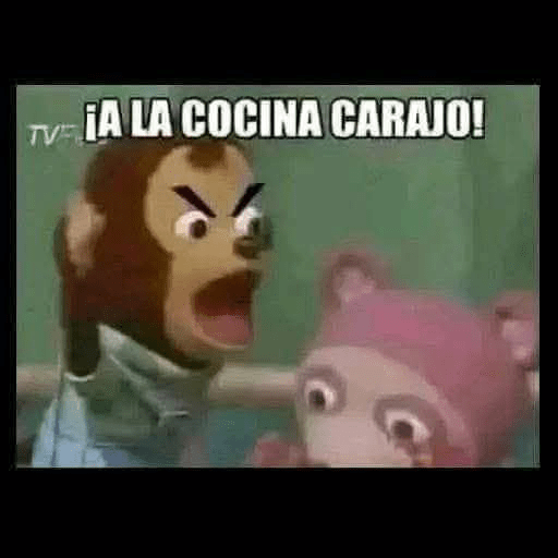 Momos Nova  7