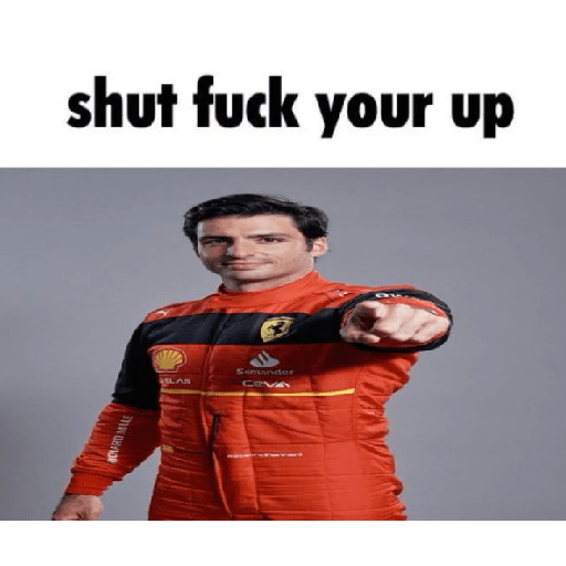 Carlos sainz  17