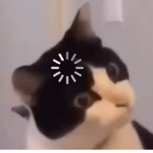 Kucing 1 7