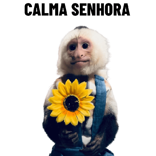 Macaquinhos falantes 28