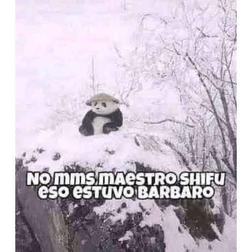 Momos Nova  18