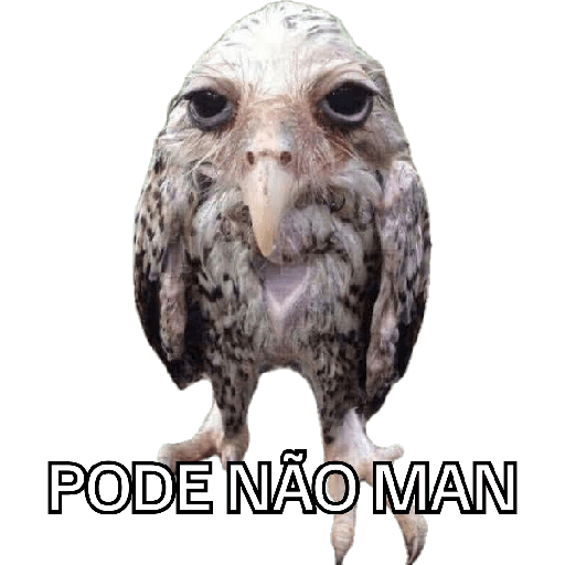 Kkkkkk 20
