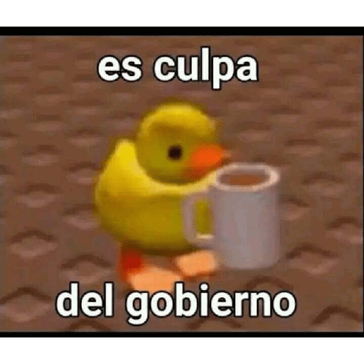Momos Nova  15