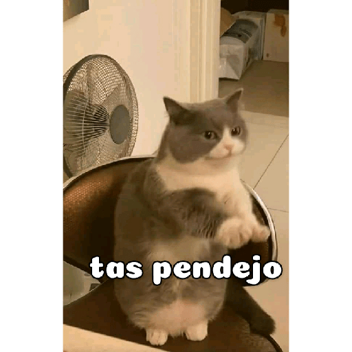 Impactado 10
