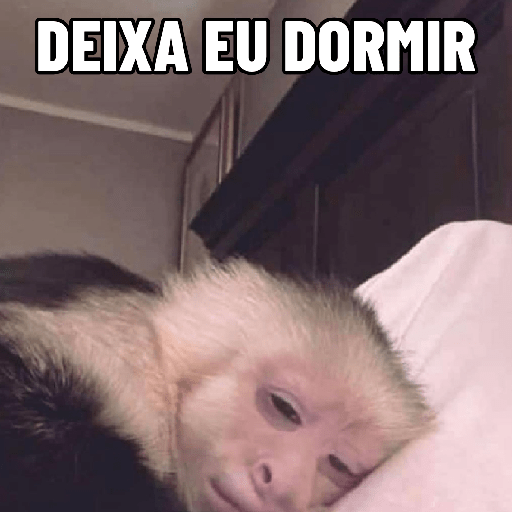 Macaquinhos falantes 17