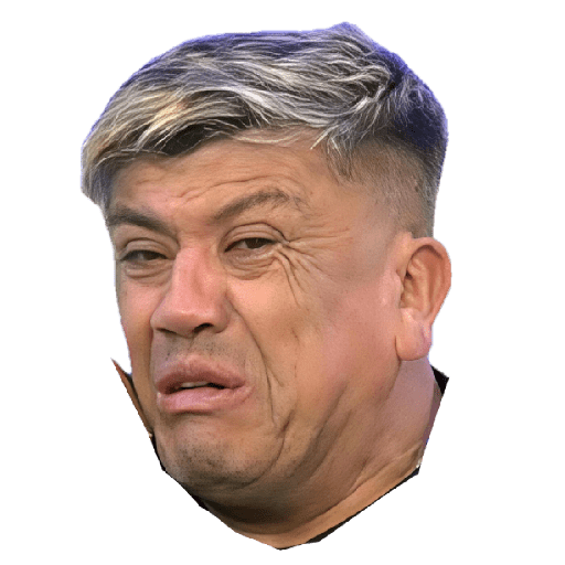 Nuevos 3