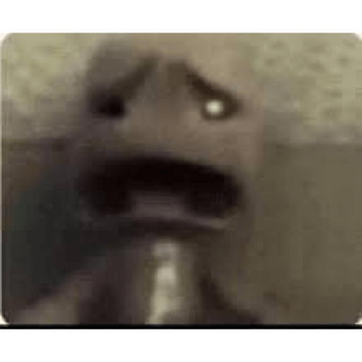 Momos Nova  6