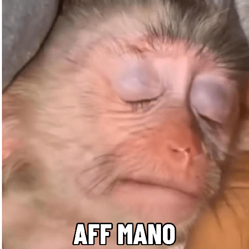 Macaquinhos falantes 5