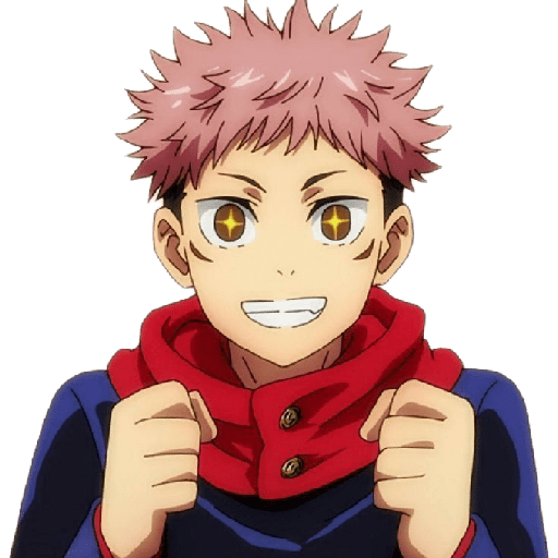 Jujutsu Kaisen 13