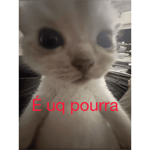 Animais 23