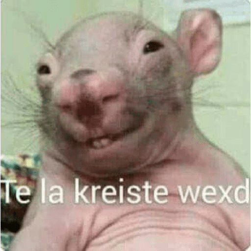 Impactado 6