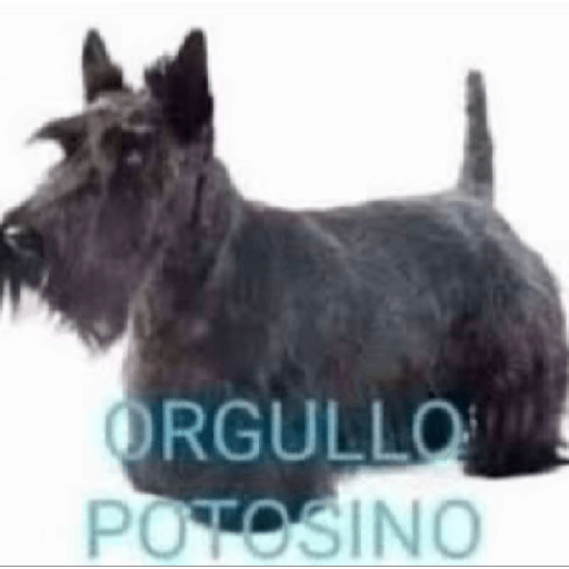 Stickers de tomato 2.0 1