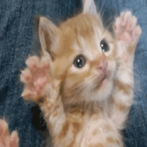 Animais 21
