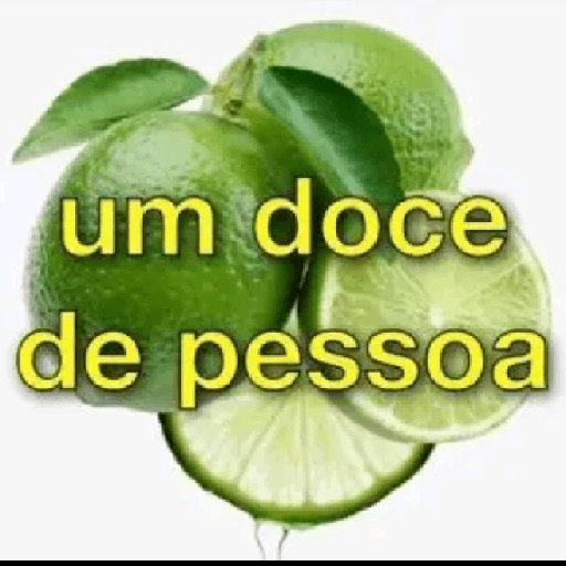 RESPOSTAS RÁPIDAS  8