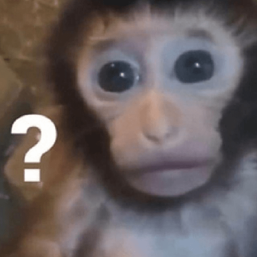 Macaquinhos falantes 16