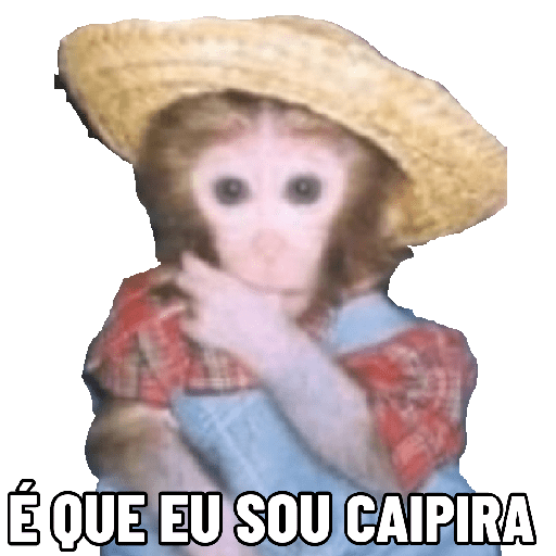 Macaquinhos falantes 30