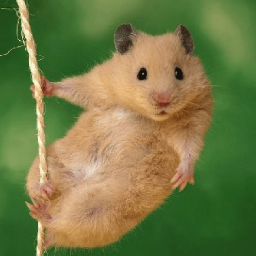 Animais 2