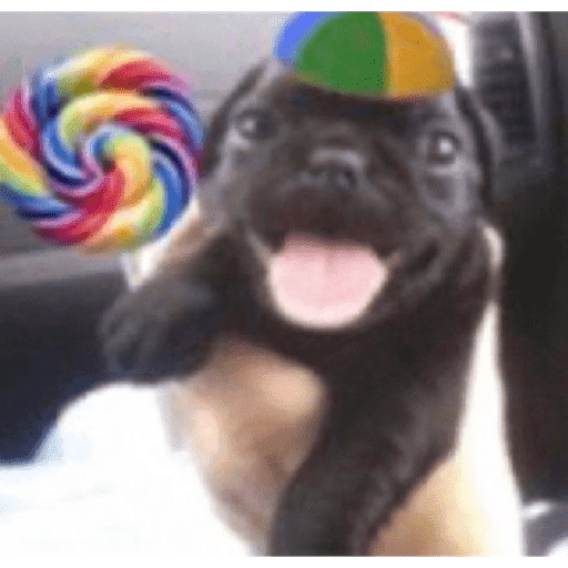 Animais 14