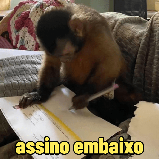 Macaquinhos falantes 11