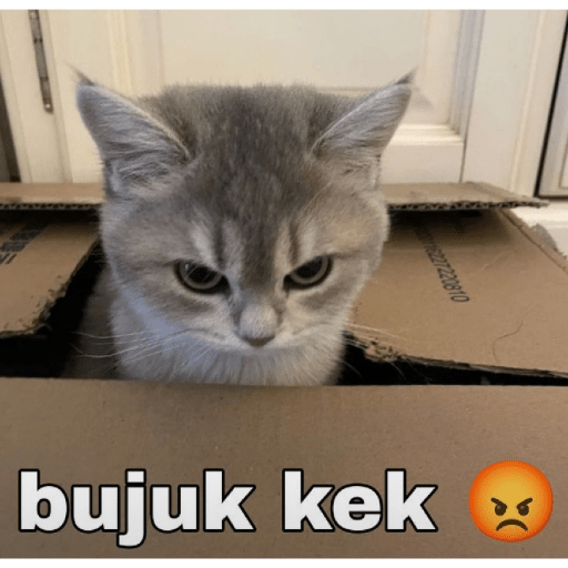 Random meme 2 1