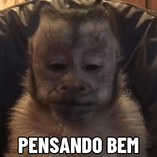 Macaquinhos falantes 13