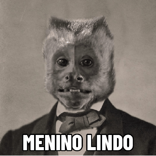 Macaquinhos falantes 10