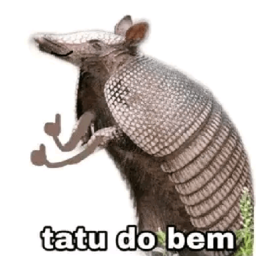 RESPOSTAS RÁPIDAS  15